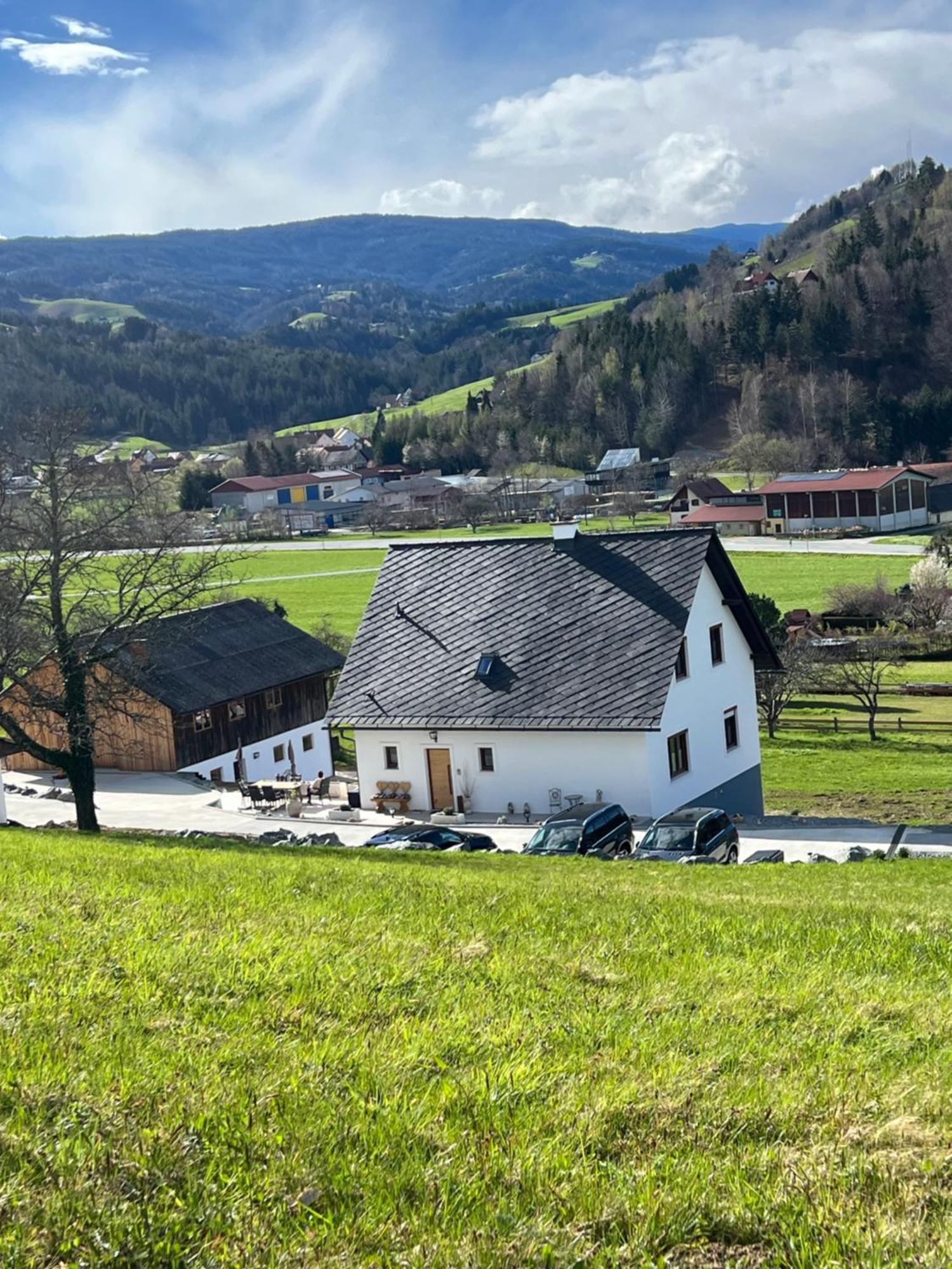 Sonnenschein Appartement- Und Ferienhaus Mit Terrasse Und Garten Eibiswald 外观 照片